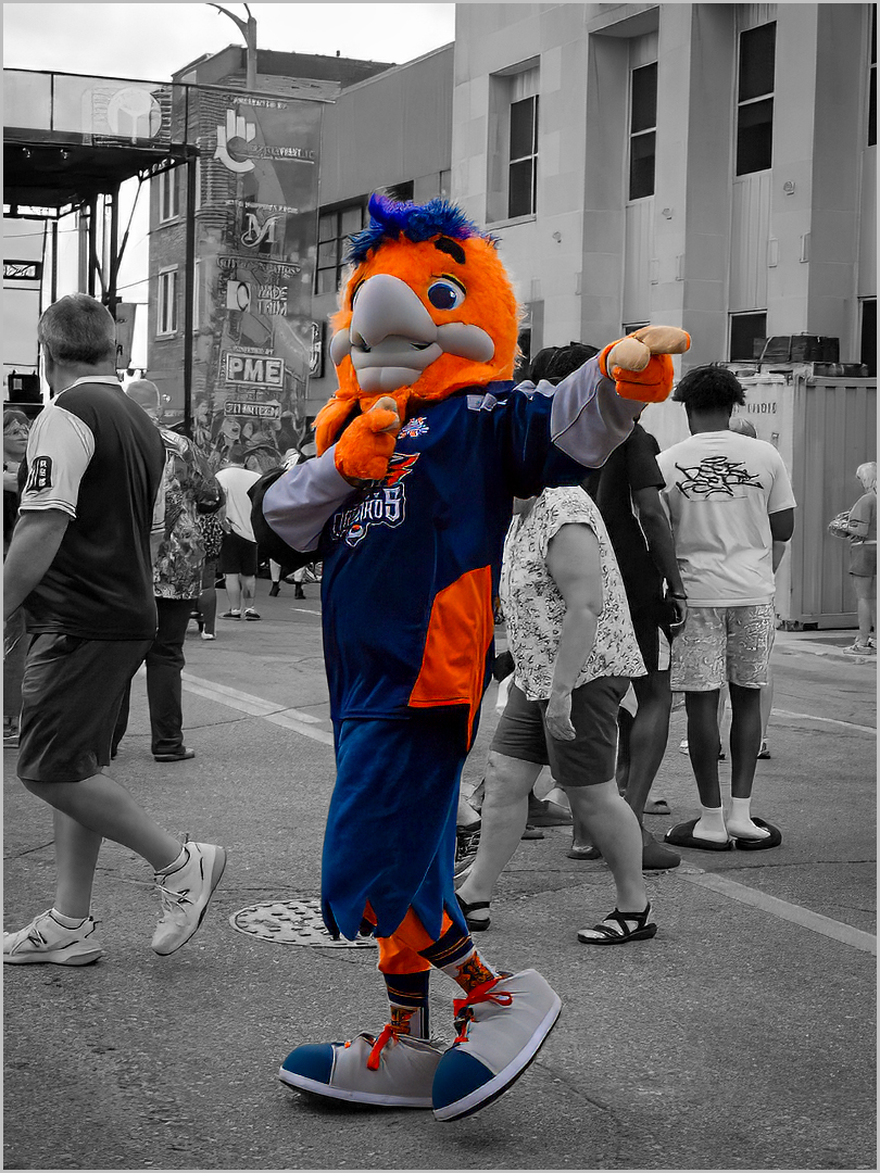 Meeting Photo Slide Show